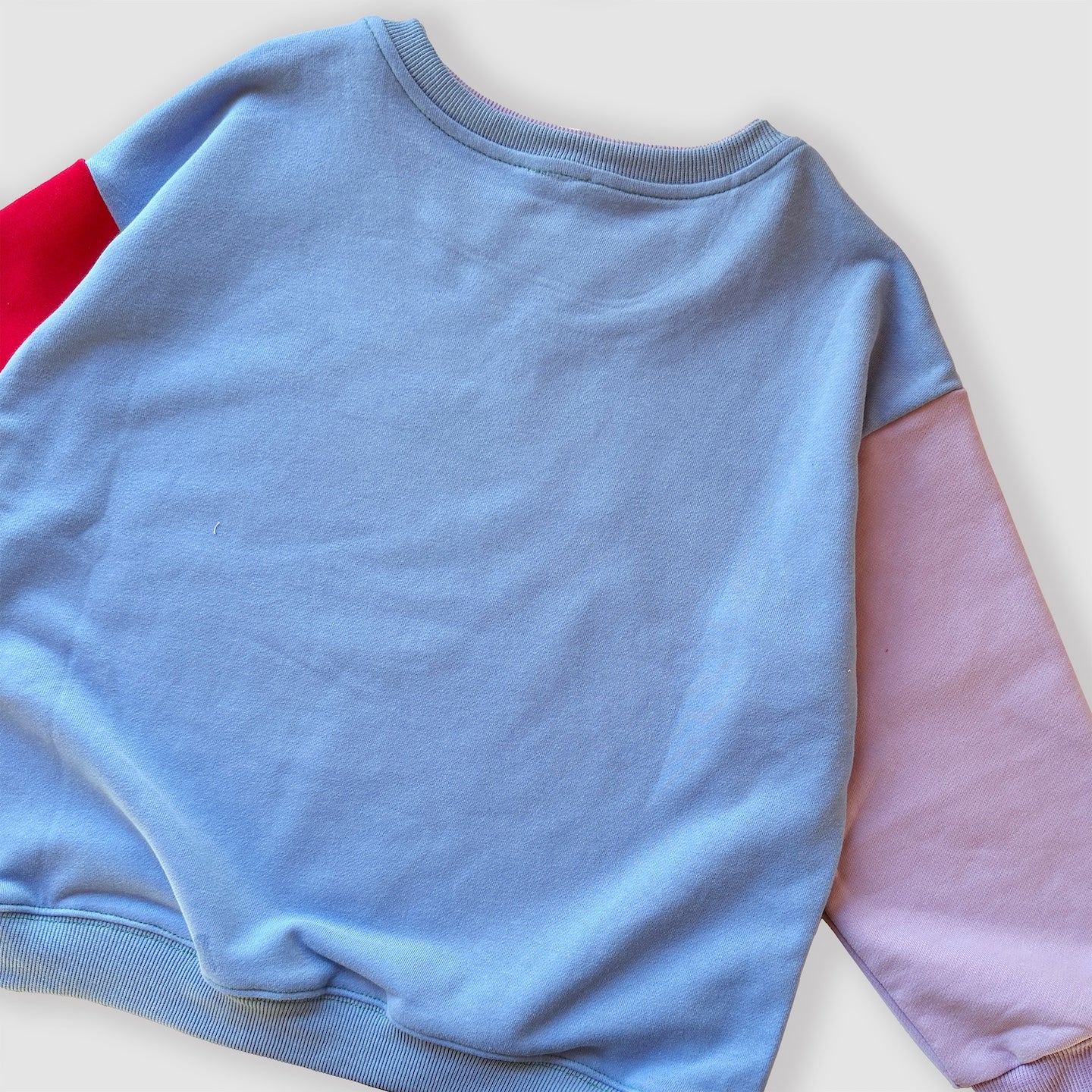 Colorblock Crewneck Sweatshirt