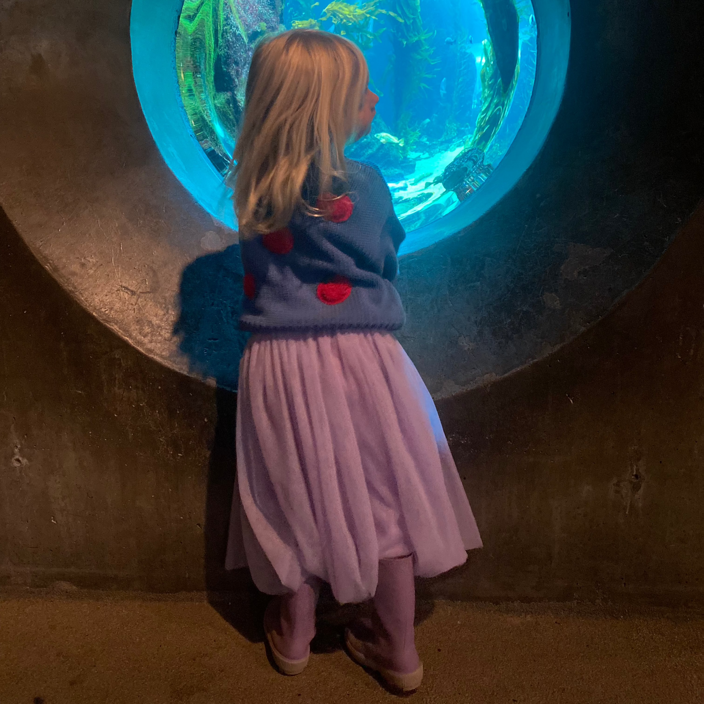Midi Tutu Skirt