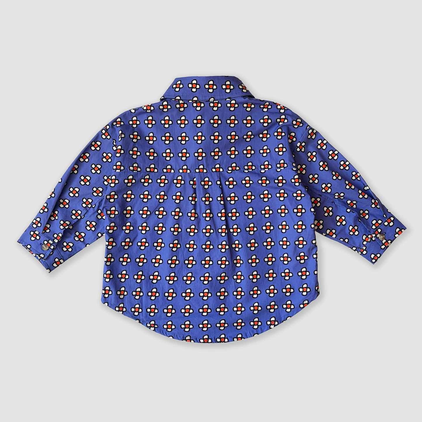 Button Down Shirt
