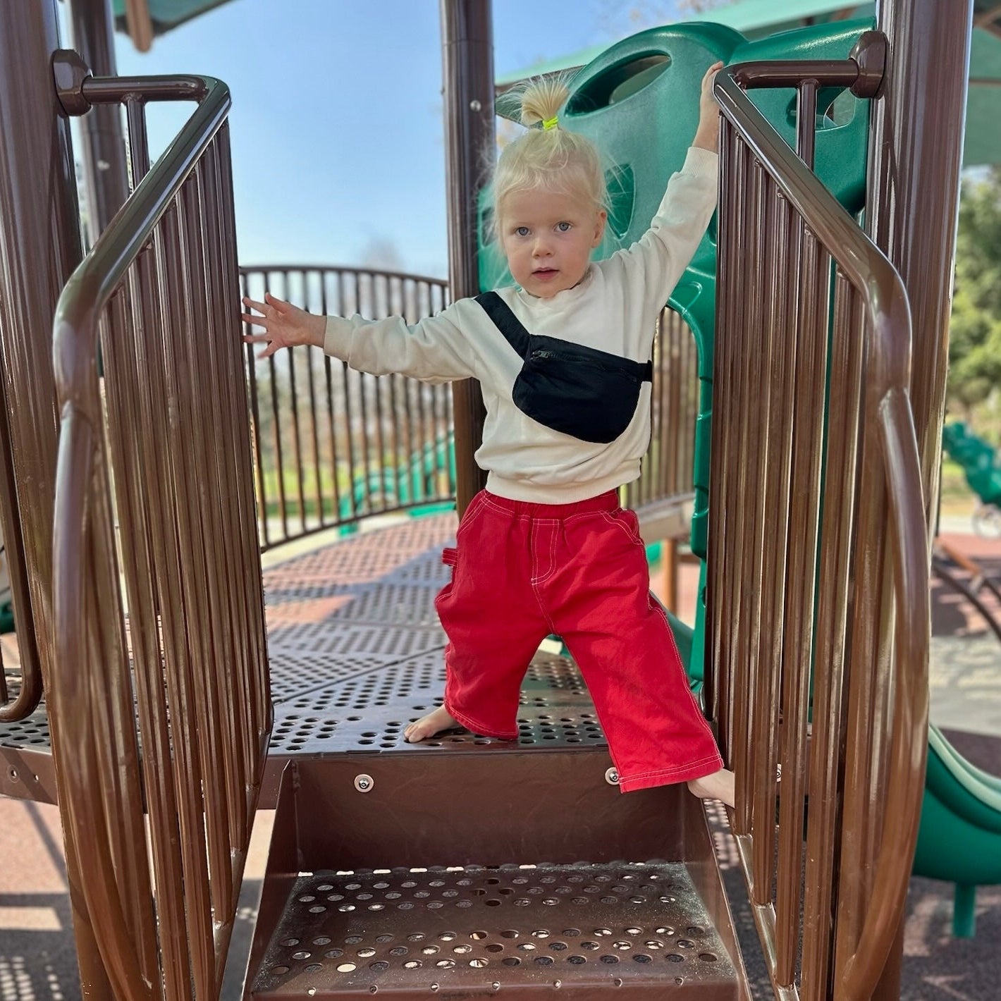 Carpenter Pants