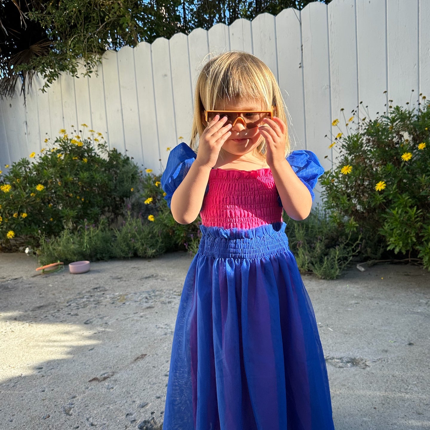 Princess Dress