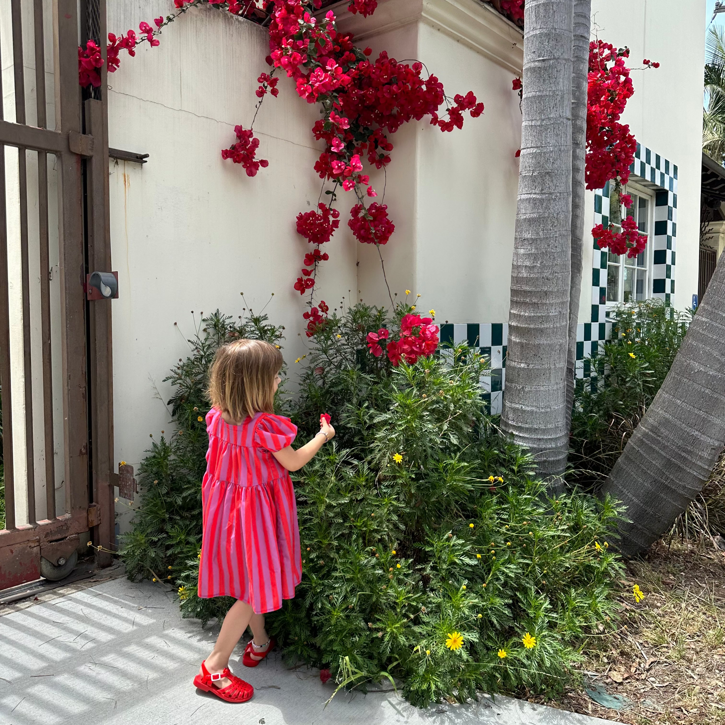 Circus Stripe Dress
