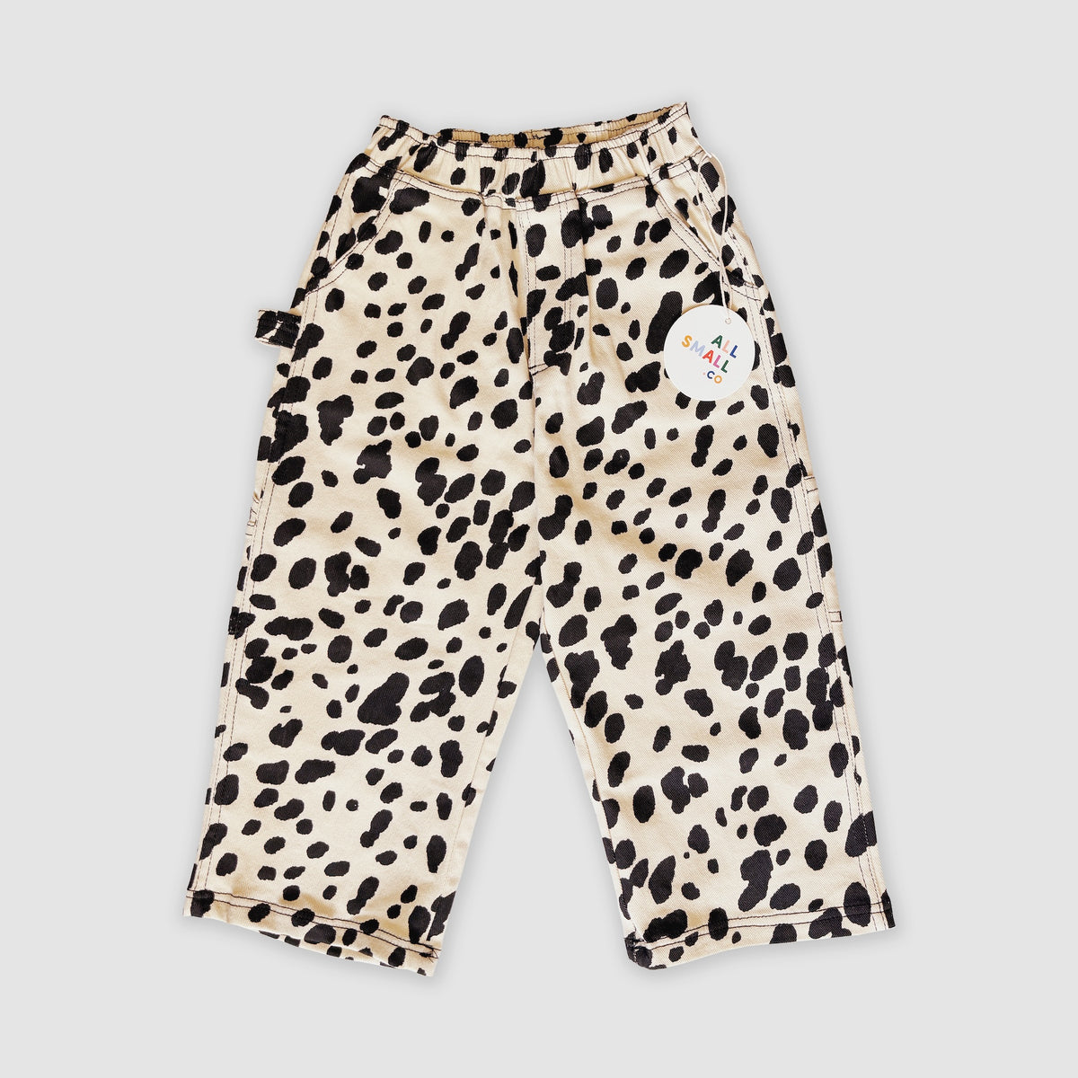 Carpenter Pants